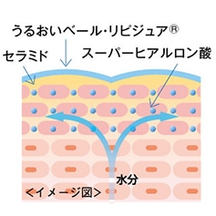 バリア機能イメージ1