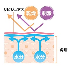 バリア機能イメージ2