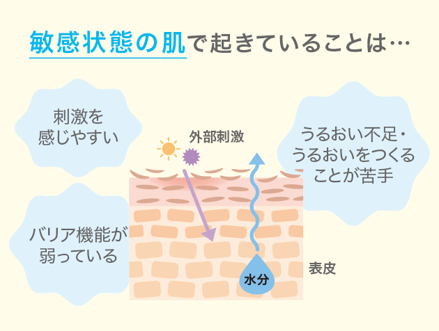 敏感状態の肌で起きていることは･･･