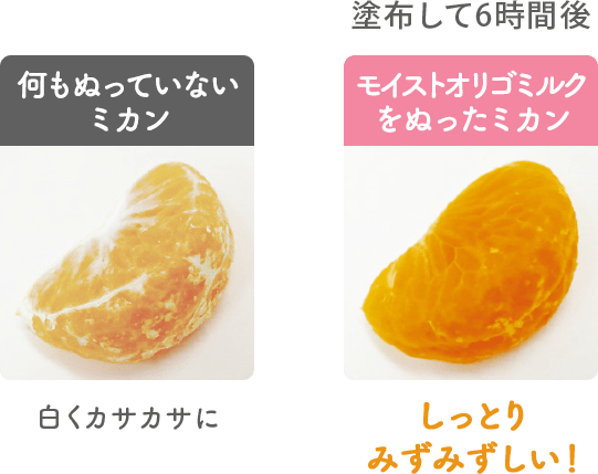 何もぬっていないミカン 白くカサカサに 塗布して6時間後の、モイストオリゴミルクをぬったミカン しっとりみずみずしい