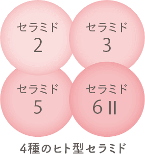 4種のヒト型セラミド