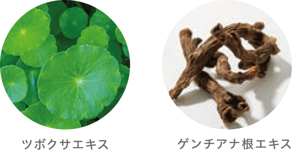 乾燥しがちな肌にたっぷりのうるおいを補給