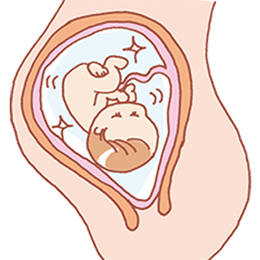 amniotic-fluid-image