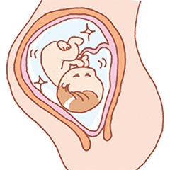 amniotic-fluid-image