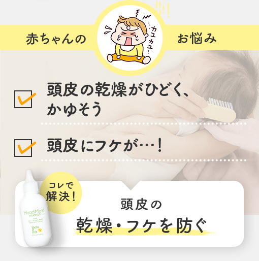 yԂ̂Y݁z̊ЂǂA䂻 ɃtPcI | ̊EtPh
