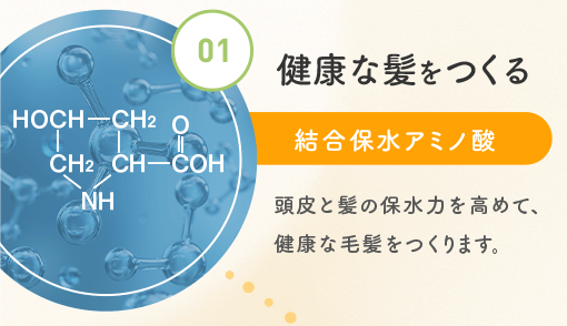 01.健康な髪をつくる結合保水アミノ酸 頭皮と髪の保水力を高めて、健康な毛髪をつくります。