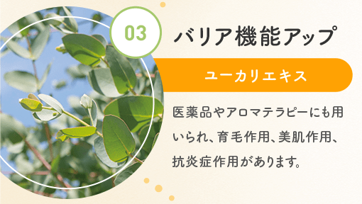 03.バリア機能アップ ユーカリエキス 医薬品やアロマテラピーにも用いられ、育毛作用、美肌作用、抗炎症作用があります。