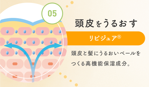 05.頭皮をうるおす リピジュアⓇ 頭皮と髪にうるおいベールをつくる高機能保湿成分。