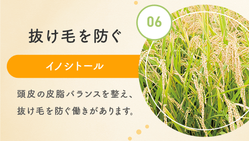 06.抜け毛を防ぐ イノシトール 頭皮の皮脂バランスを整え、抜け毛を防ぐ働きがあります。