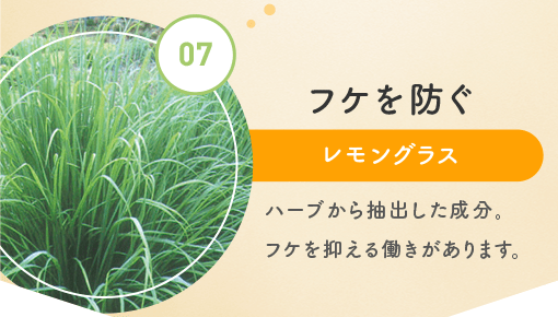 07.tPh OX n[u璊oBtP}铭܂B