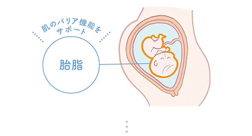 肌のバリア機能をサポート [胎脂]