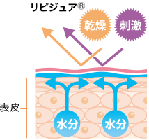 リピジュア