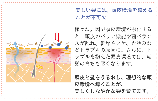 イメージ図