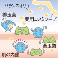 善玉菌のイメージ