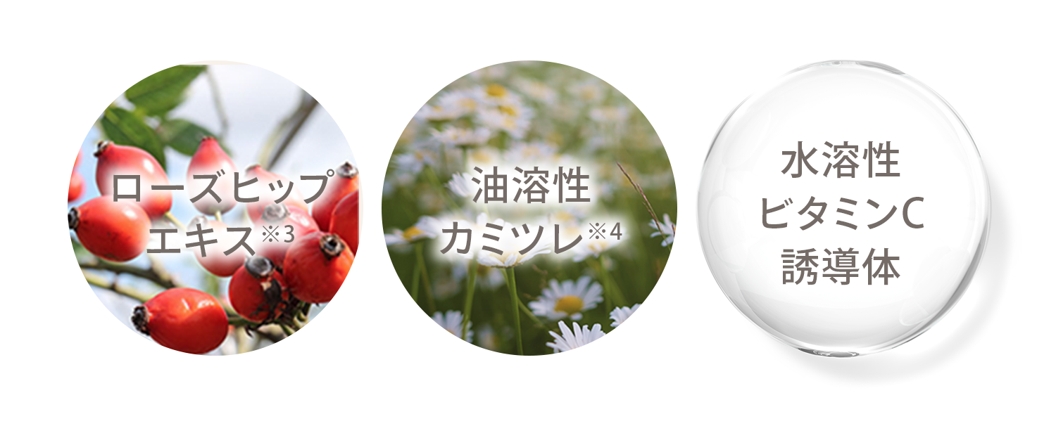 ローズヒップエキス※3／油溶性カミツレ※4／水溶性ビタミンC誘導体