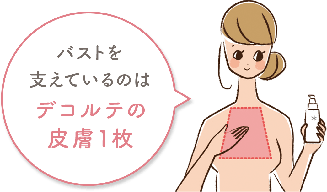 バストを支えているのはデコルテの皮膚1枚