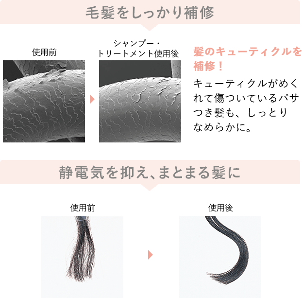 毛髪をしっかり補修 静電気を抑え、まとまる髪に