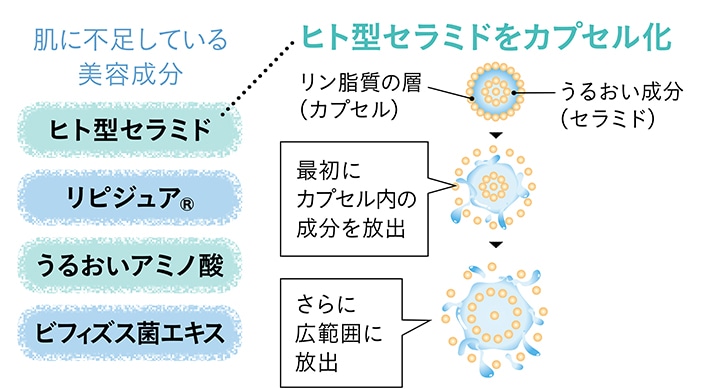 ヒト型セラミド