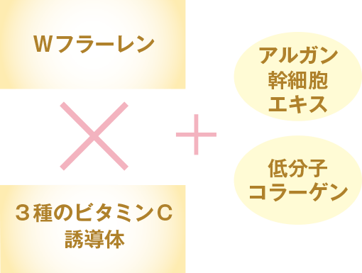 配合成分が劣化コラーゲンを再生し、肌の弾力を高める