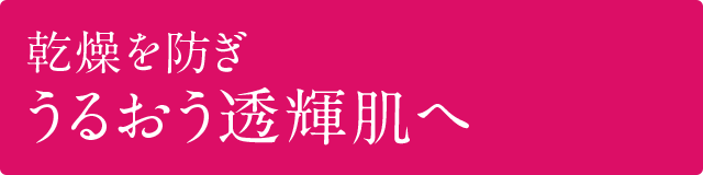 乾燥を防ぎ うるおう透輝肌へ