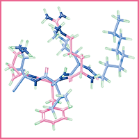 wrinkle-peptide-image