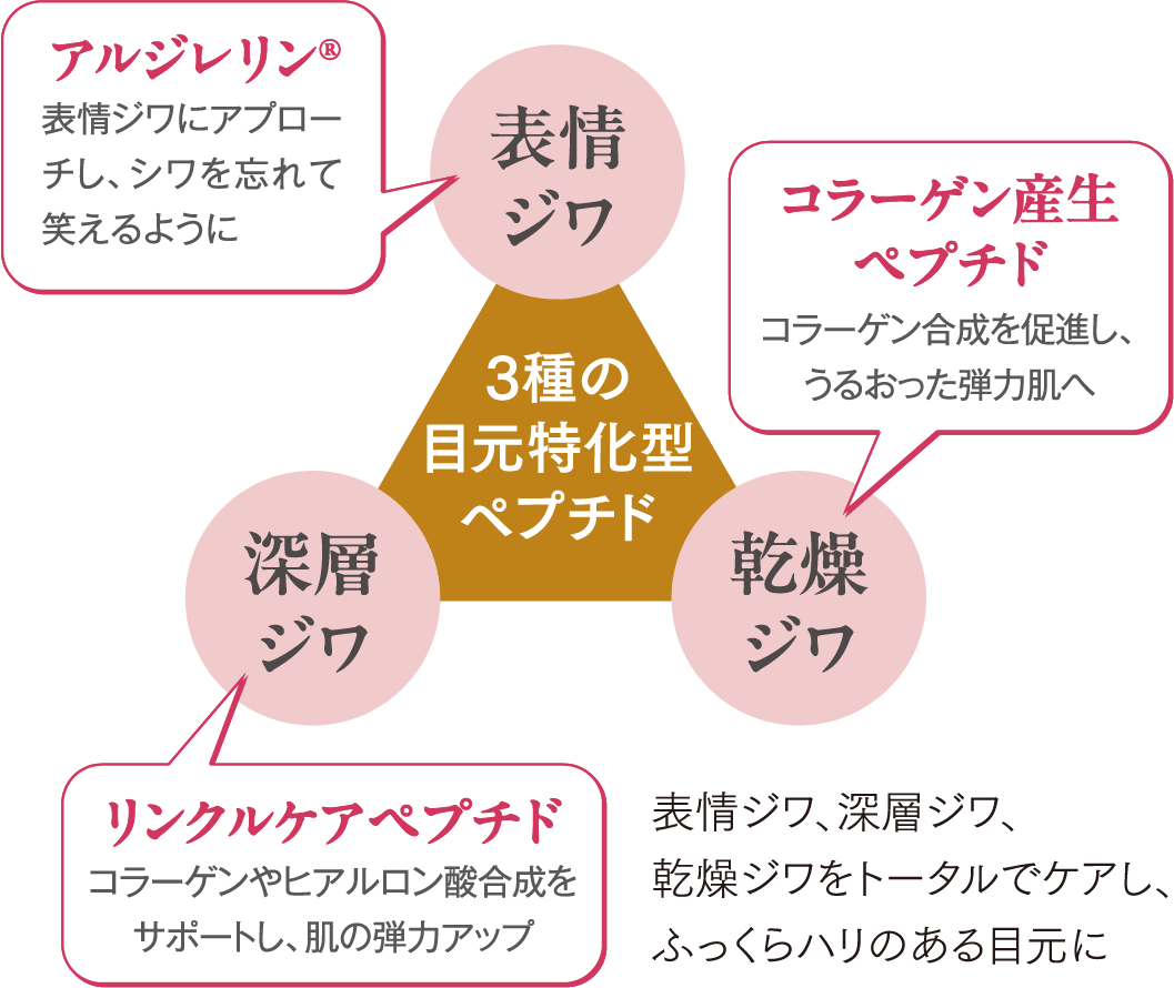 [表情ジワ]アルジレリン®：表情ジワにアプローチし、シワを忘れて笑えるように / [深層ジワ]リンクルケアペプチド：コラーゲンやヒアルロン酸合成をサポートし、肌の弾力アップ / [乾燥ジワ]コラーゲン産生ペプチド：コラーゲン合成を促進し、うるおった弾力肌へ / 表情ジワ、深層ジワ、乾燥ジワをトータルでケアし、ふっくらハリのある目元に