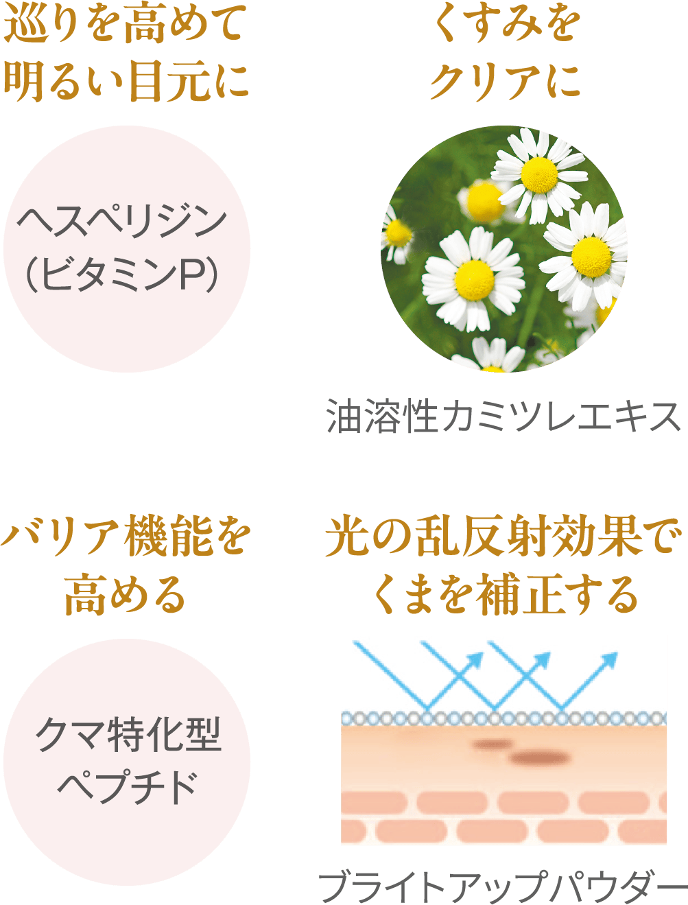 巡りを高めて明るい目元に:ヘスペリジン(ビタミンP)/ くすみをクリアに:油溶性カミツレエキス / バリア機能を高める:クマ特化型ペプチド / 光の乱反射効果でくまを補正する:ブライトアップパウダー
