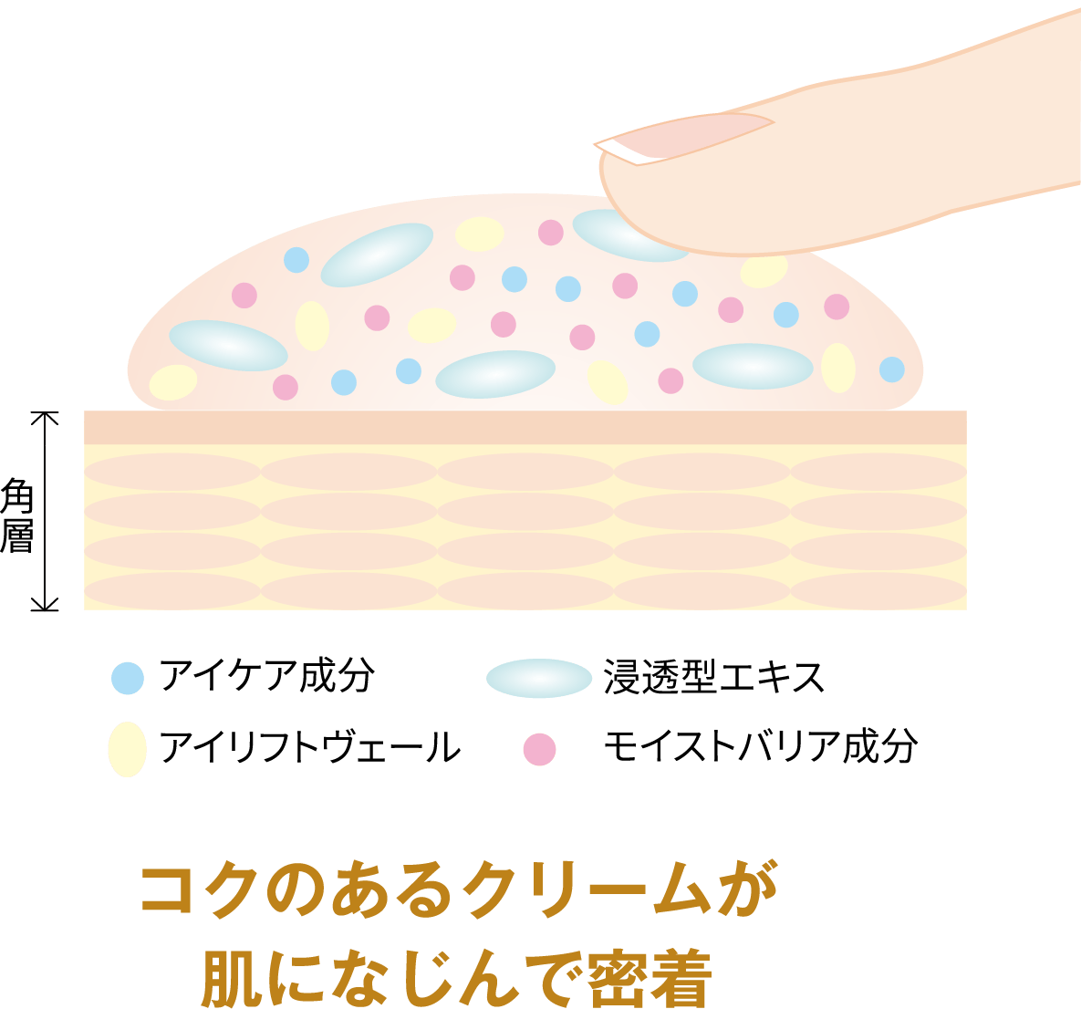コクのあるクリームが肌になじんで密着