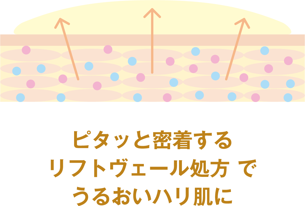 ピタッと密着するリフトヴェール処方でうるおいハリ肌に