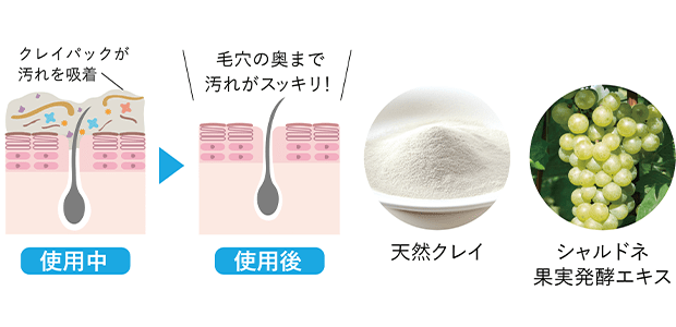 使用前 使用中 使用後 の肌図