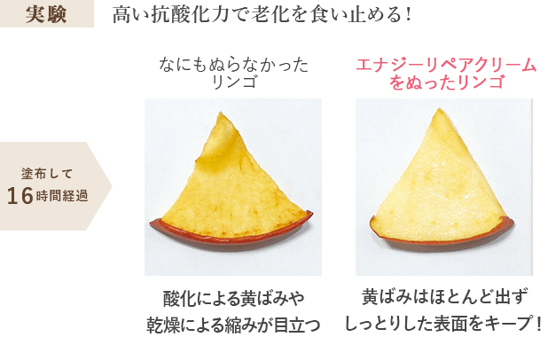 実験:高い抗酸化力で老化を食い止める!