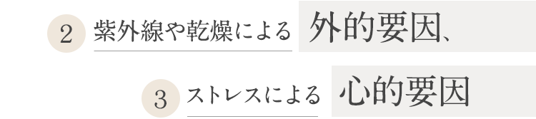 紫外線や乾燥による外的要因、ストレスによる心的要因