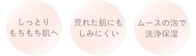 しっとりもちもち肌へ・荒れた肌にもしみにくい・ムースの泡で洗浄保湿