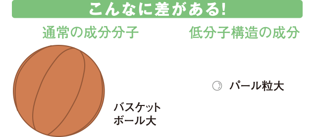 こんなに差がある!