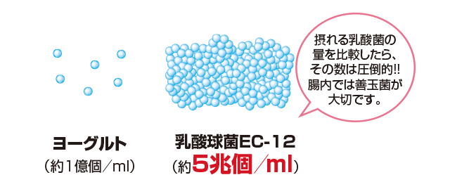 乳酸球菌EC-12