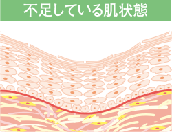 不足している肌状態
