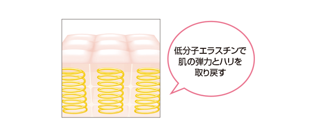 バネ