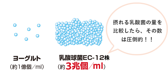 摂れる乳酸菌の量を比較したら、その数は圧倒的!!