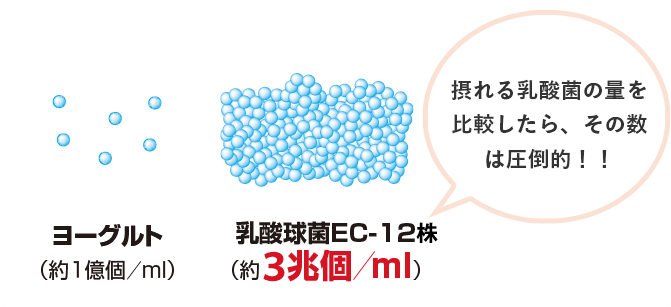 摂れる乳酸菌の量を比較したら、その数は圧倒的！！