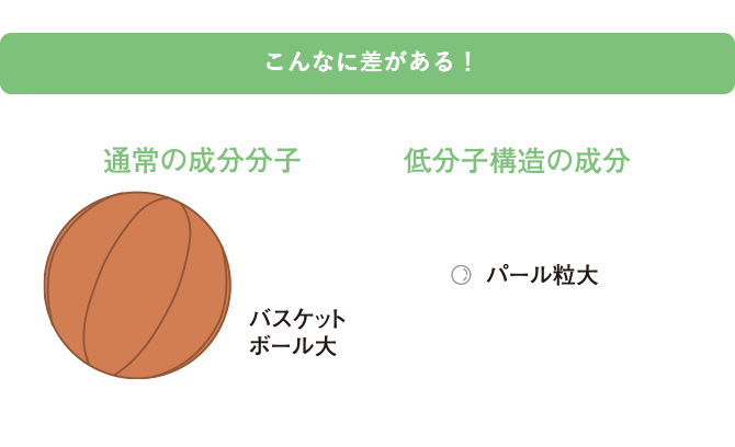 こんなに差がある!