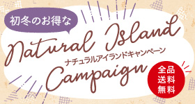 アイランドキャンペーン