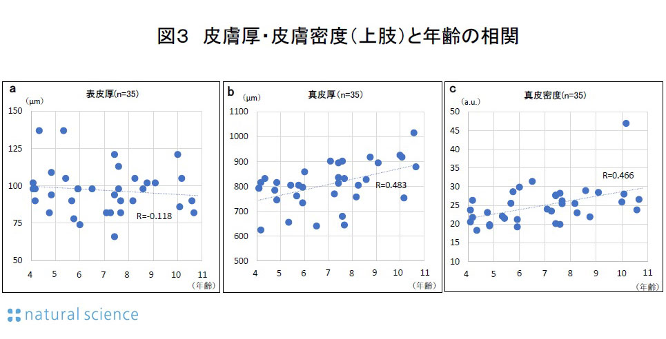 図３_皮膚厚・皮膚密度（上肢）と年齢の相関