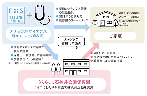 「肌育」に関する取り組みの図