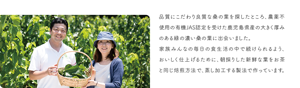 品質にこだわり良質な桑の葉を探したところ、農薬不使用の有機JAS認定を受けた鹿児島県産の大きく厚みのある緑の濃い桑の葉に出会いました。家族みんなの毎日の食生活の中で続けられるよう、おいしく仕上げるために、朝採りした新鮮な葉をお茶と同じ焙煎方法で、蒸し加工する製法で作っています。