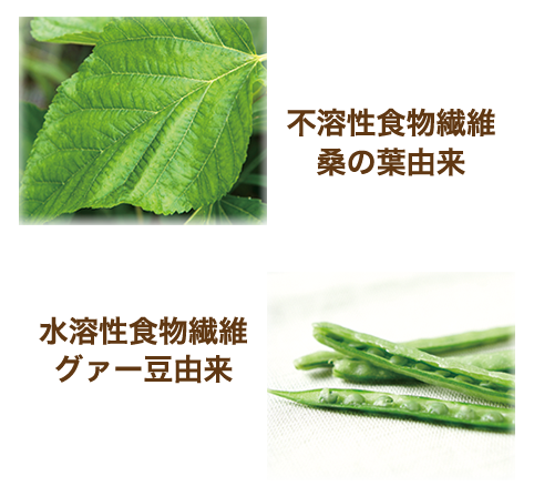 グアー豆由来の優れた水溶性食物繊維