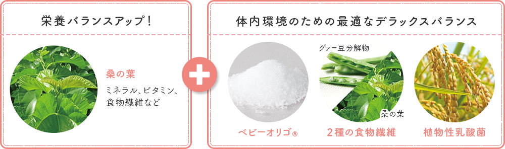 [栄養バランスアップ！] 桑の葉 : ミネラル、ビタミン、食物繊維など + [腸内環境に最適なデラックスバランス] ベビーオリゴ®、２種の食物繊維 : グァー豆分解物 桑の葉、植物性乳酸菌