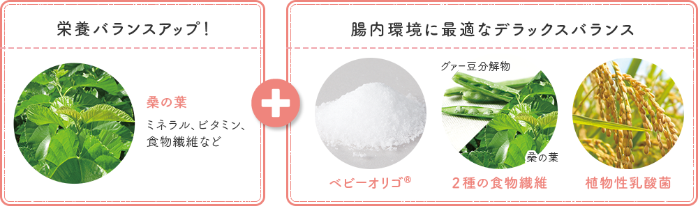 [栄養バランスアップ！] 桑の葉 : ミネラル、ビタミン、食物繊維など + [腸内環境に最適なデラックスバランス] ベビーオリゴ®、２種の食物繊維 : グァー豆分解物 桑の葉、植物性乳酸菌