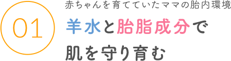 01 赤ちゃんを育てていたママの胎内環境 羊水と胎脂成分で肌を守り育む