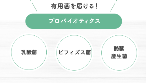 有用菌を届けるプロバイオティクス:乳酸菌　ビフィズス菌　酪酸産生菌