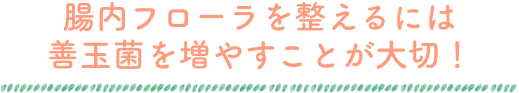 腸内フローラを整えるには善玉菌を増やすことが大切！